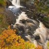 Rogie falls in autumn. Highland, Scotland. October. 